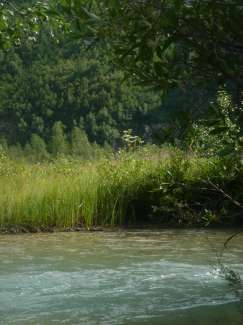 DSC09032.JPG